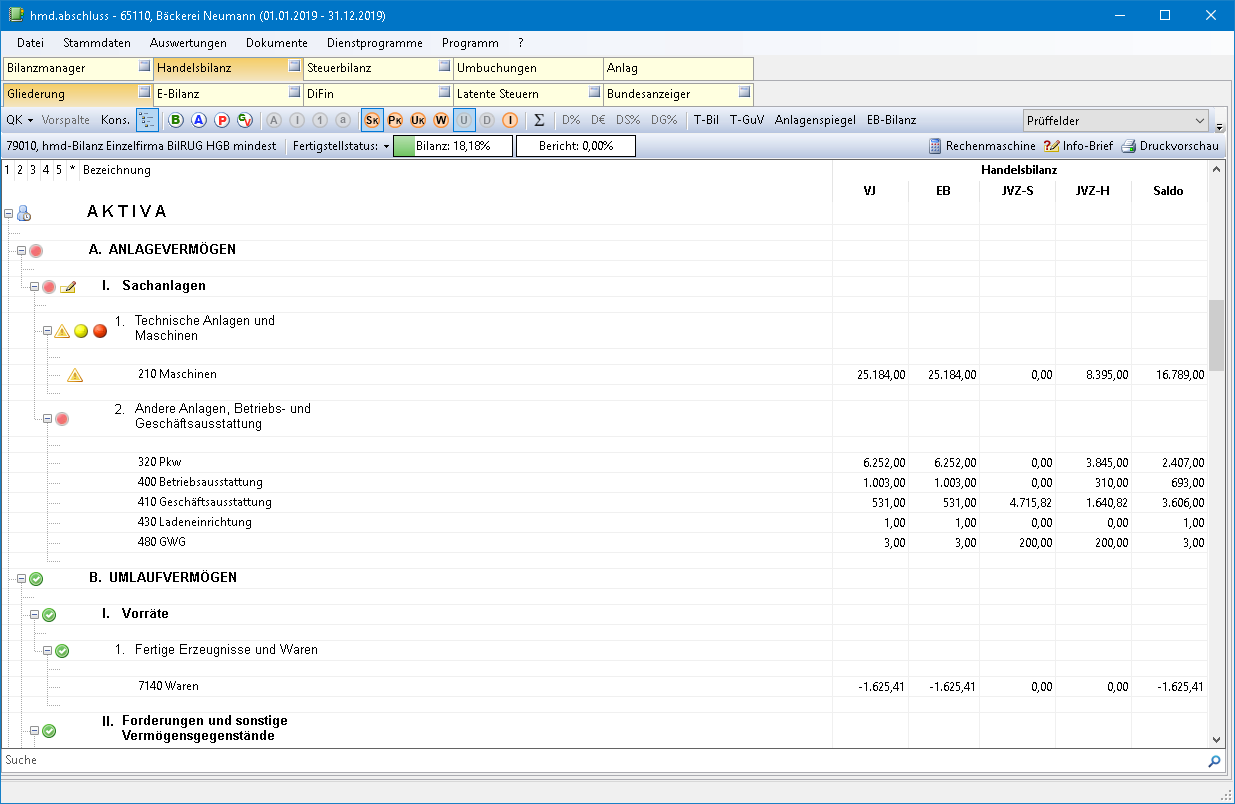 Rechnungswesen f�r Unternehmen - Rechnungswesen - Jahresabschluss - Bilanz am Bildschirm - Pr�ffelder
